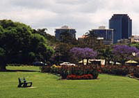 New Farm Park and the Botanic Gardens.