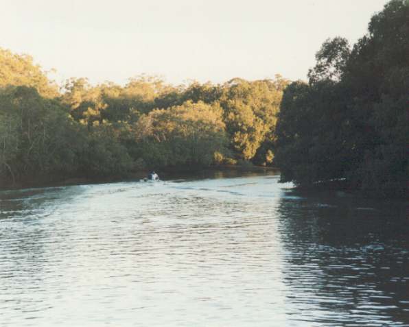 Cabbage tree creek