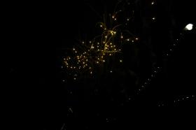 thumbs/riverfire016.jpg